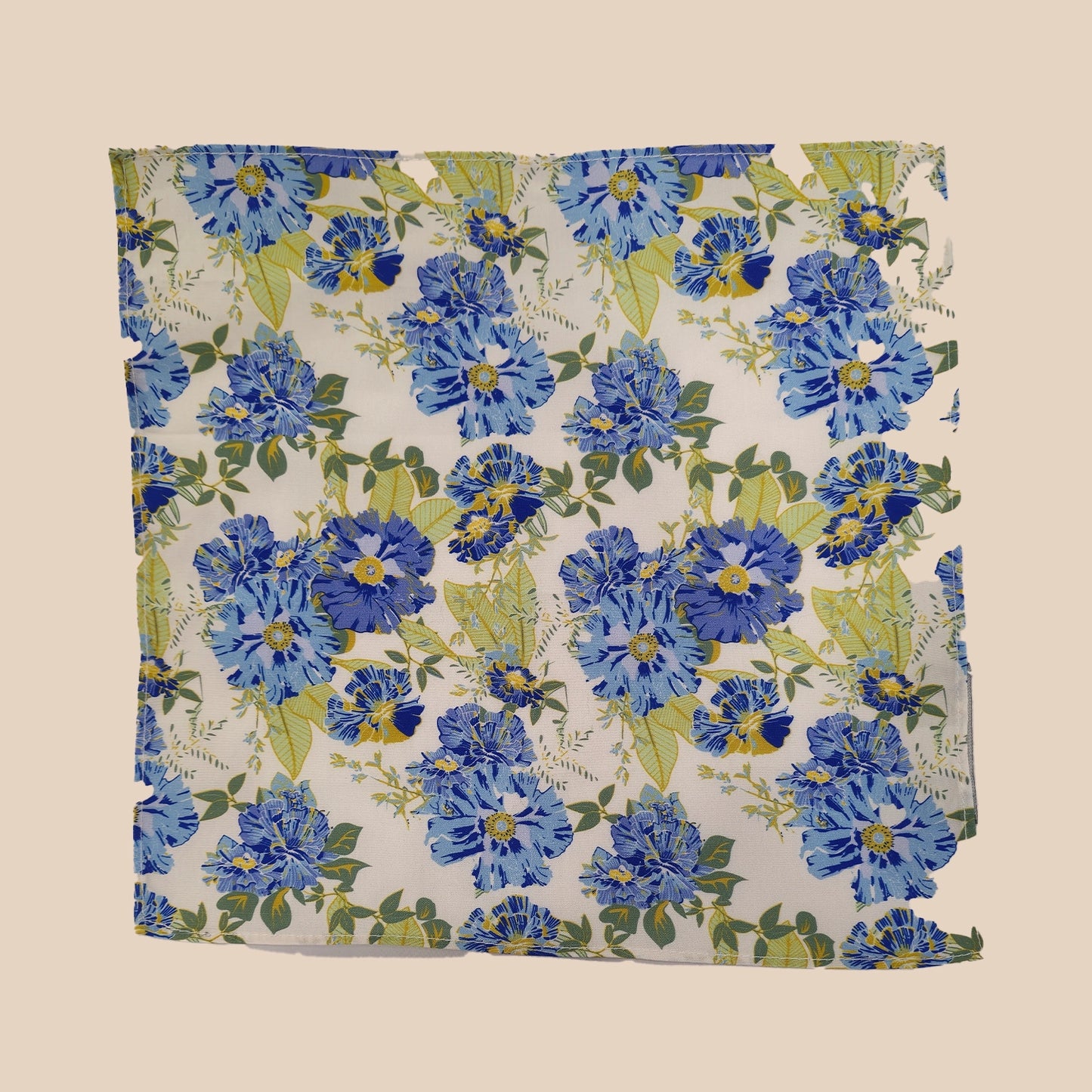 FLORAL/ BIRD Print Tie and Hankie - Cream Blue