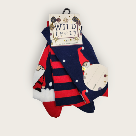 Wild-Feet Novelty Christmas Socks - Santa