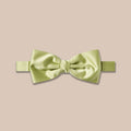 Satin Clip-On Bow Tie - Avacado