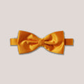 Satin Clip-On Bow Tie - Burnt Orange