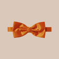 Satin Clip-On Bow Tie - Burnt Orange