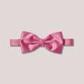 Satin Clip-On Bow Tie - Deep Alex