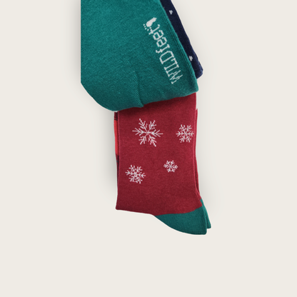Wild-Feet Novelty Christmas Socks - Red Car
