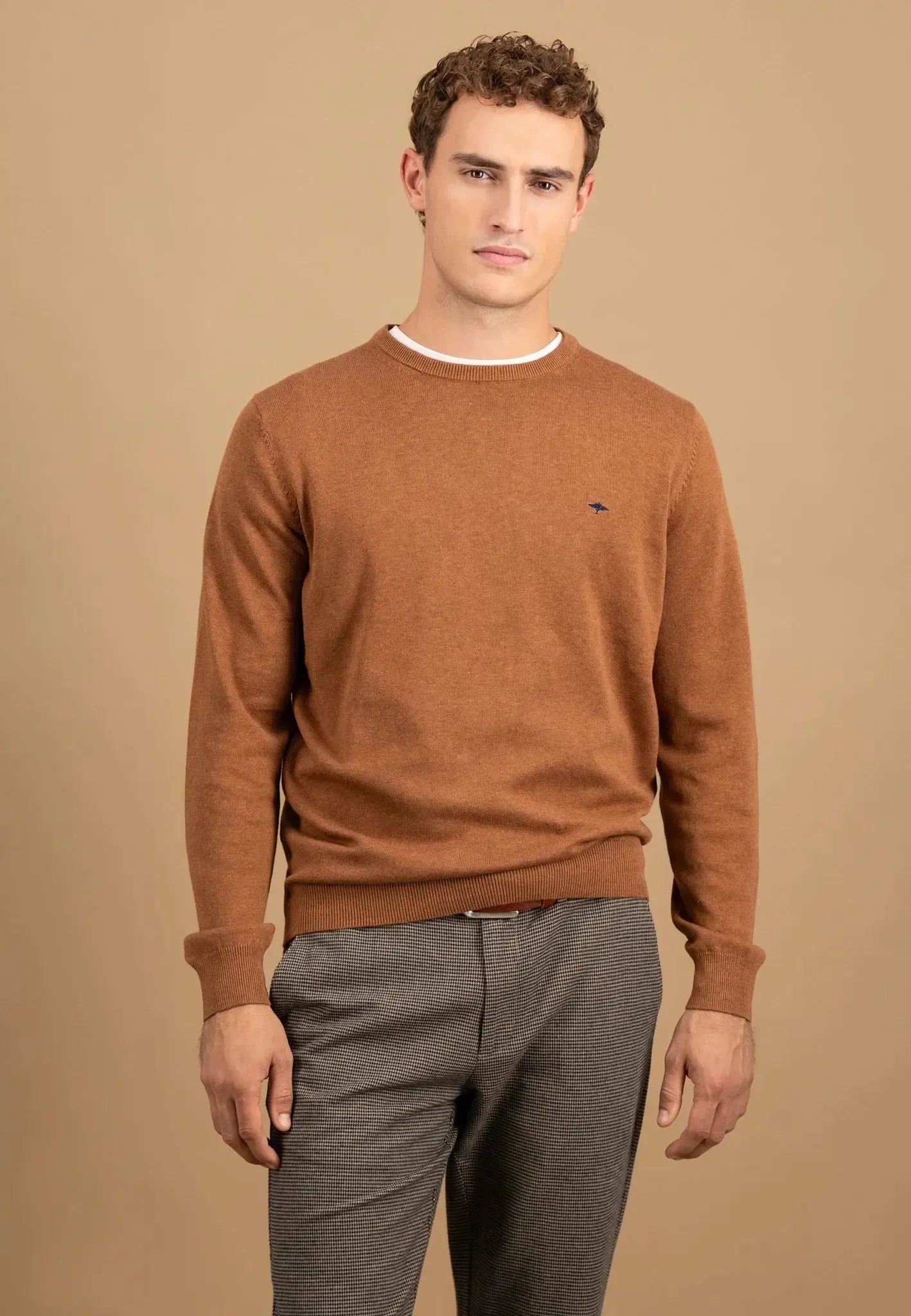 FINE-KNIT COTTON SWEATER WITH A CREW NECK - Hazel