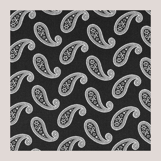 Classic Paisley Silk Hankie - Black 7102/1