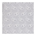 Classic Paisley Silk Hankie - Silver 7102/2